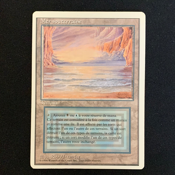 Magic the Gathering Underground Sea - Foreign White Bordered - French 