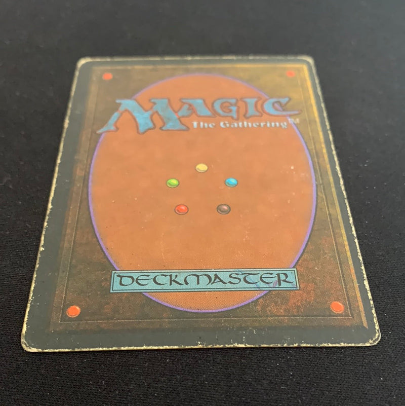 Magic the Gathering Wheel of Fortune - Foreign Black Bordered - French 