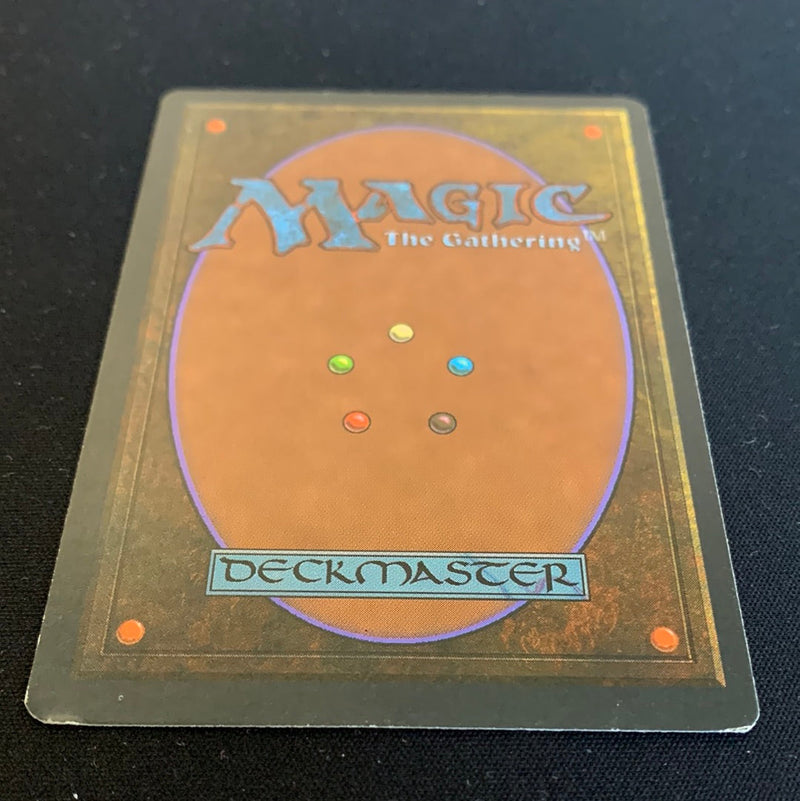 Magic the Gathering Wheel of Fortune - Foreign White Bordered - German 