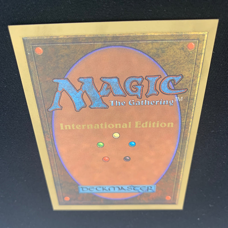 Magic the Gathering Wheel of Fortune - International Edition 